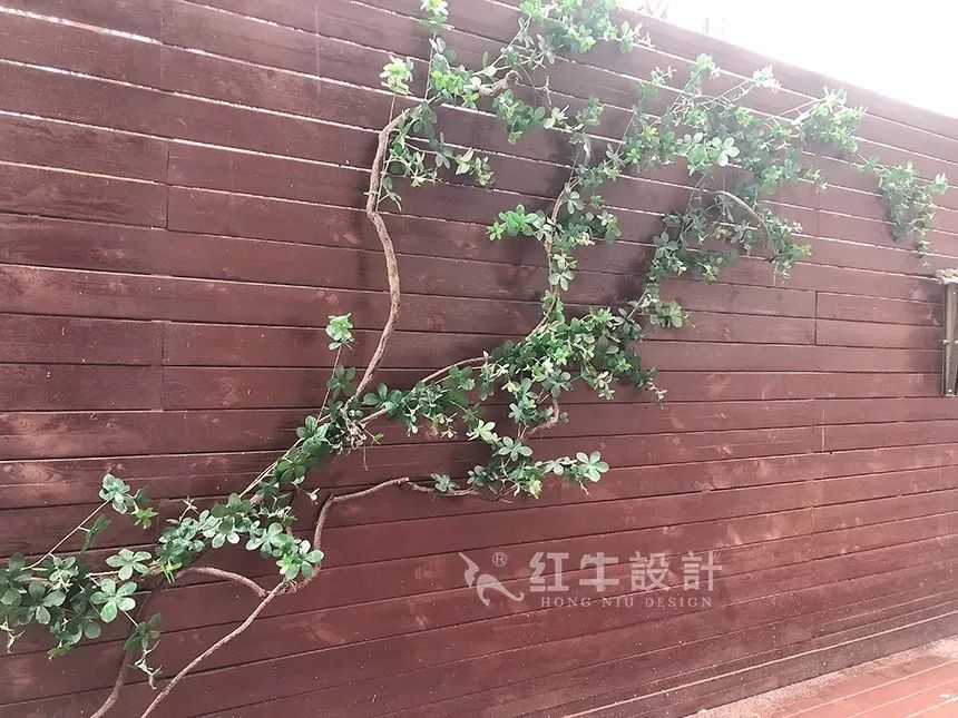 南京后宰門街75㎡北歐風格--美翻了的家庭小院07院子設計